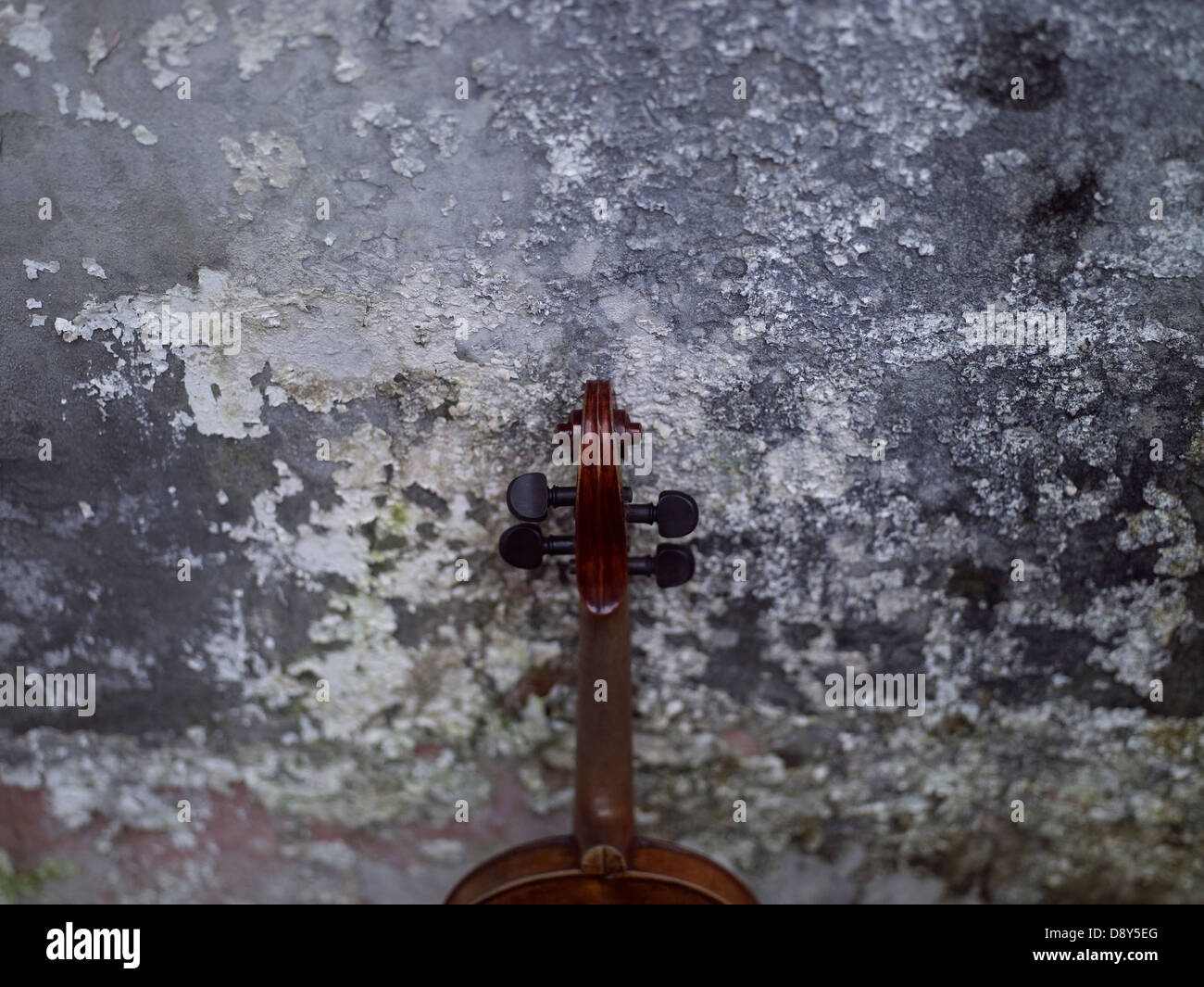 Un violon posé contre un mur gris. Banque D'Images