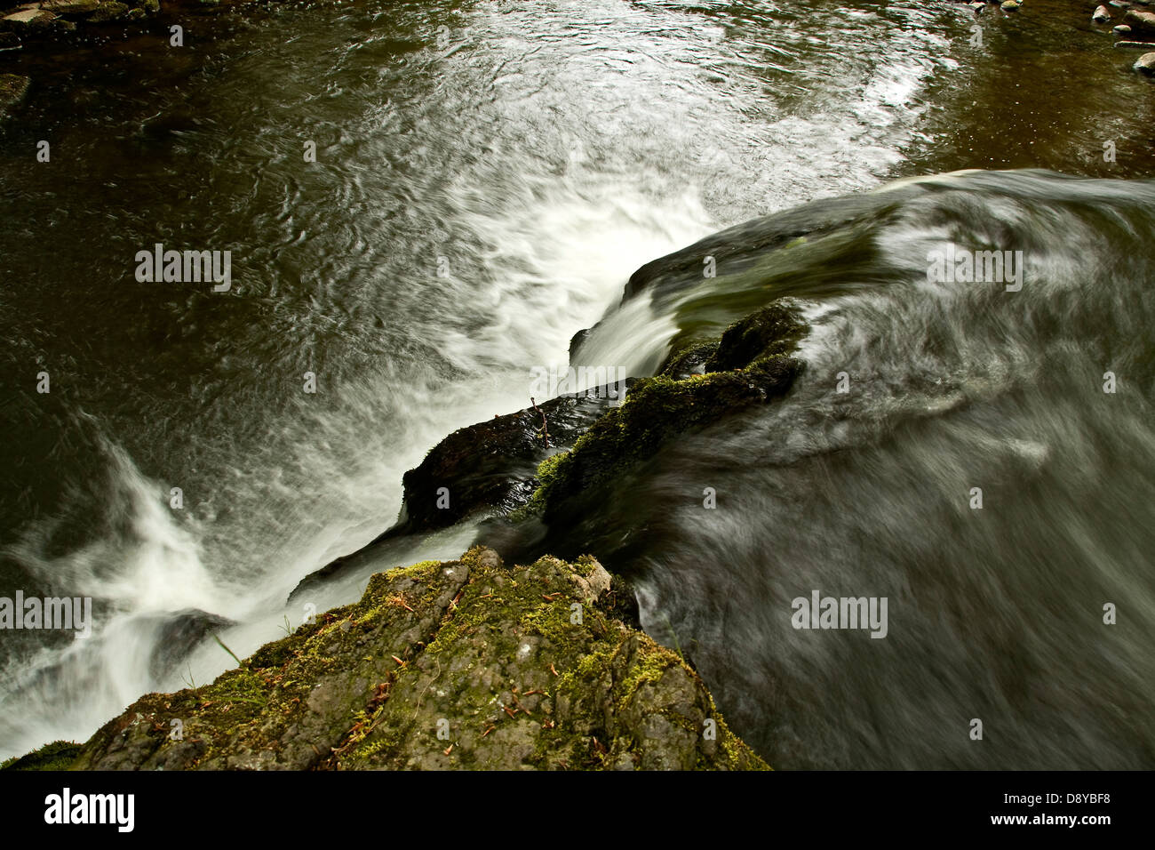 Elliot Water Arbirlot Cascade en été écossais près d'Arbroath, en Écosse Banque D'Images