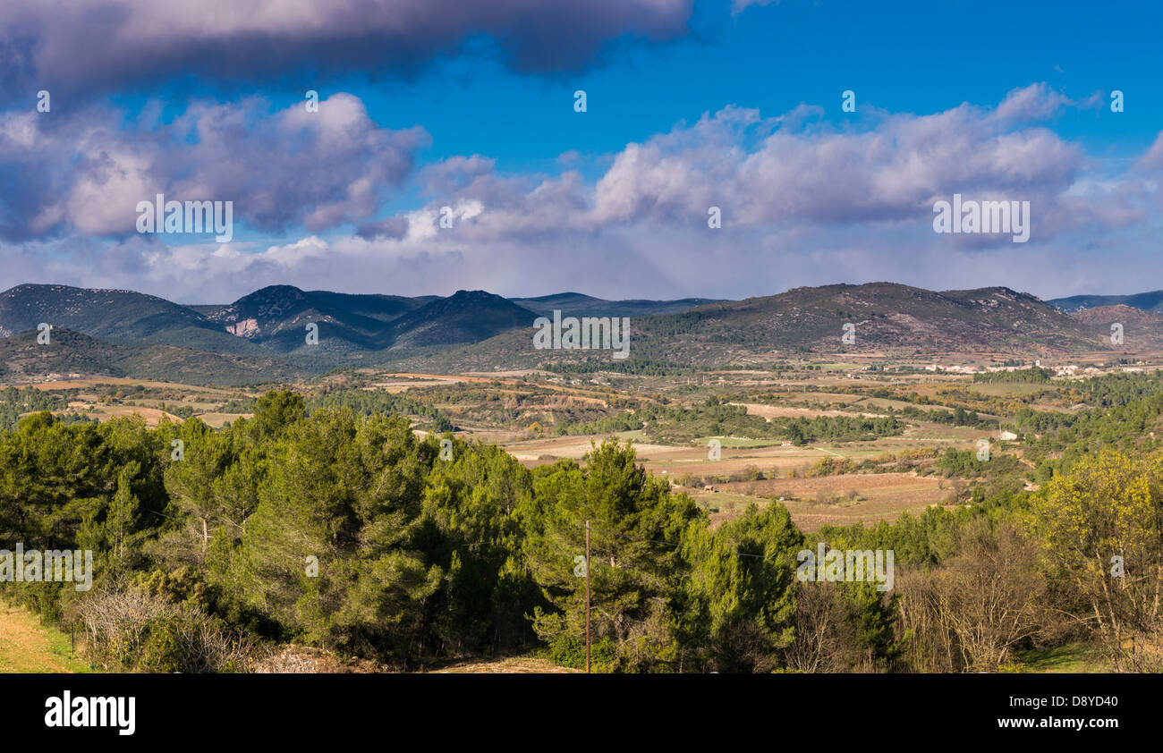 Terrain agricole avec montagnes en arrière-plan, de l'Hérault, Languedoc-Roussillon (près de Cessenom-sur-ORB) Banque D'Images