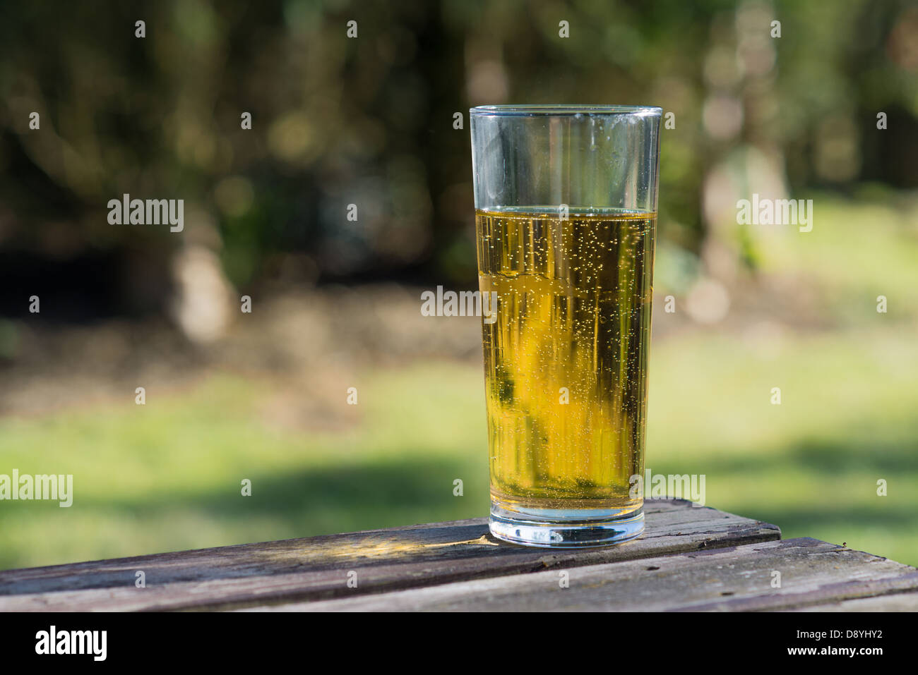 Pinte de bière cidre sur table de jardin Banque D'Images