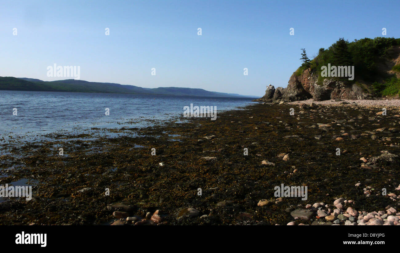 L'océan Atlantique à lowtide au Cap-Breton, en Nouvelle-Écosse. Banque D'Images