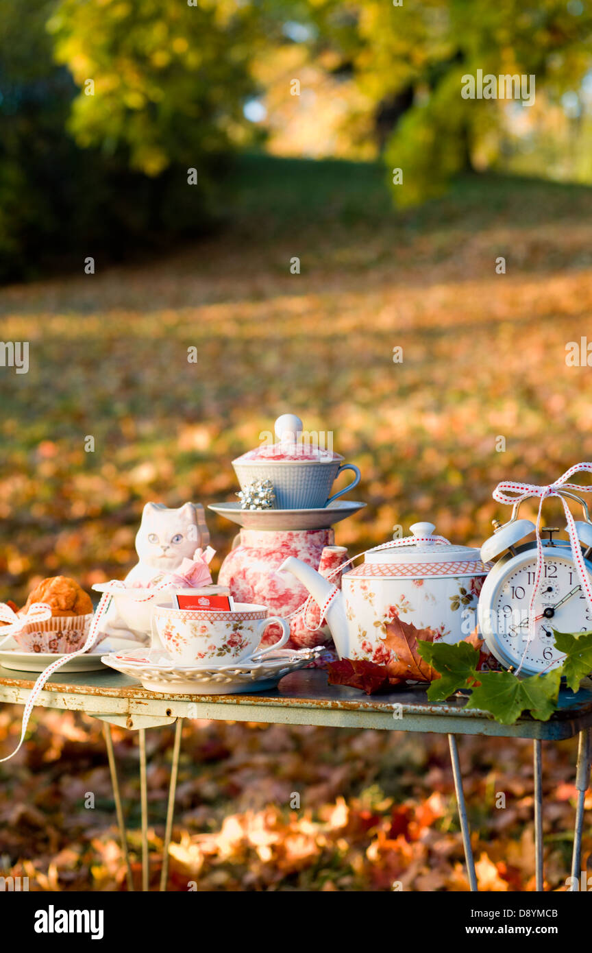 Différents objets sur une table dans un parc, en Suède. Banque D'Images