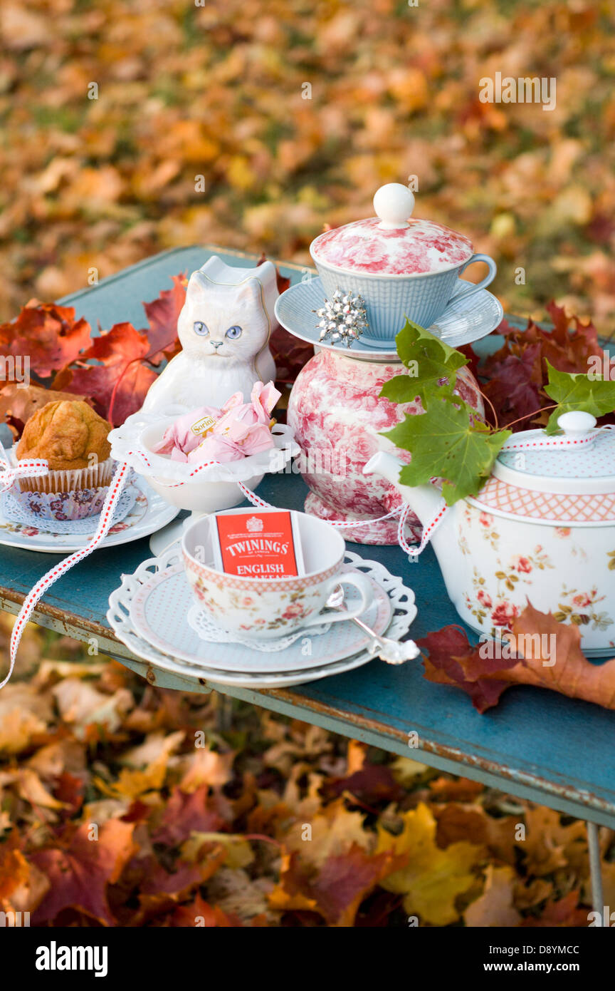 Différents objets sur une table dans un parc, en Suède. Banque D'Images