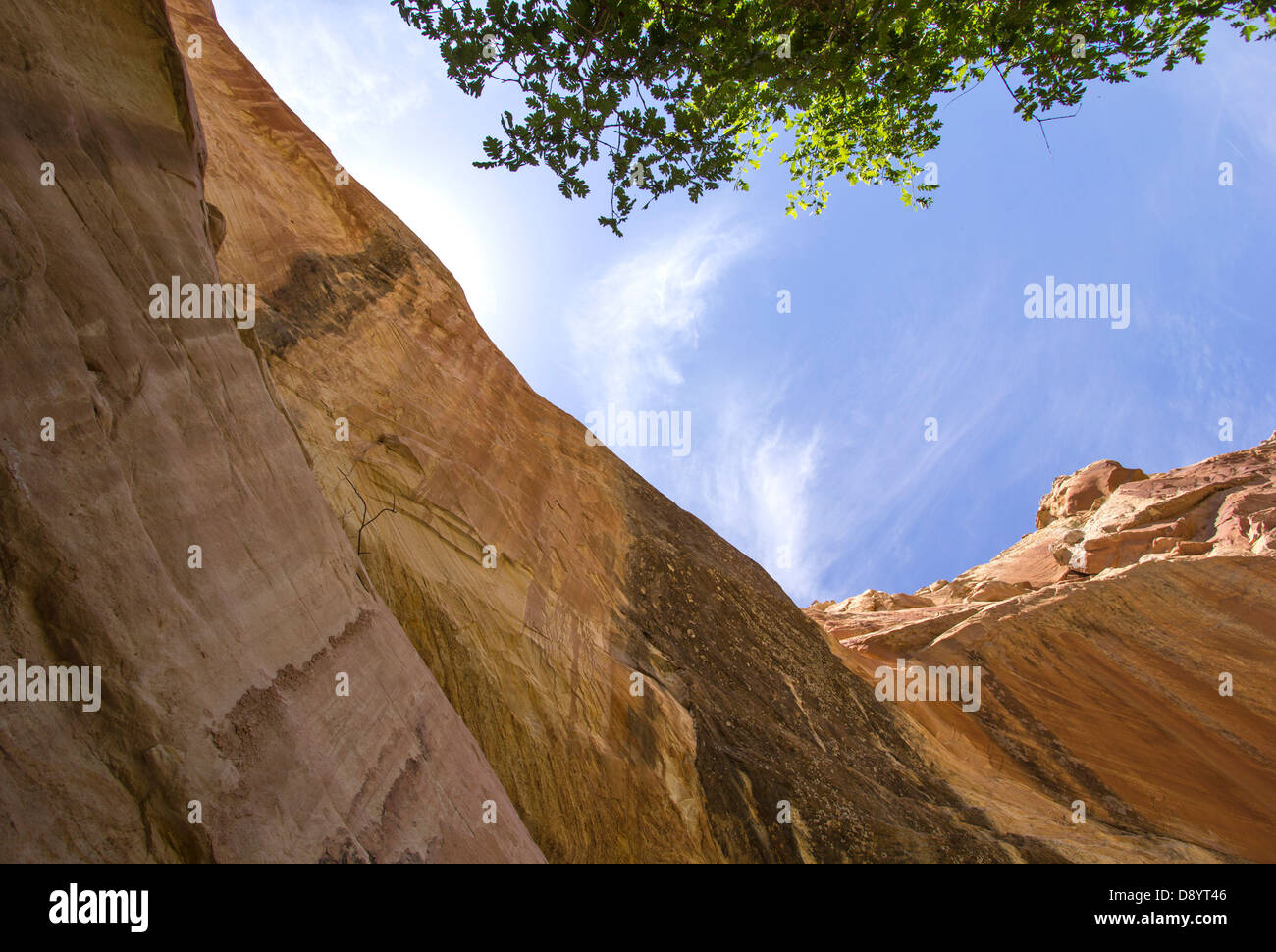 Red Cliff en pierre Banque D'Images