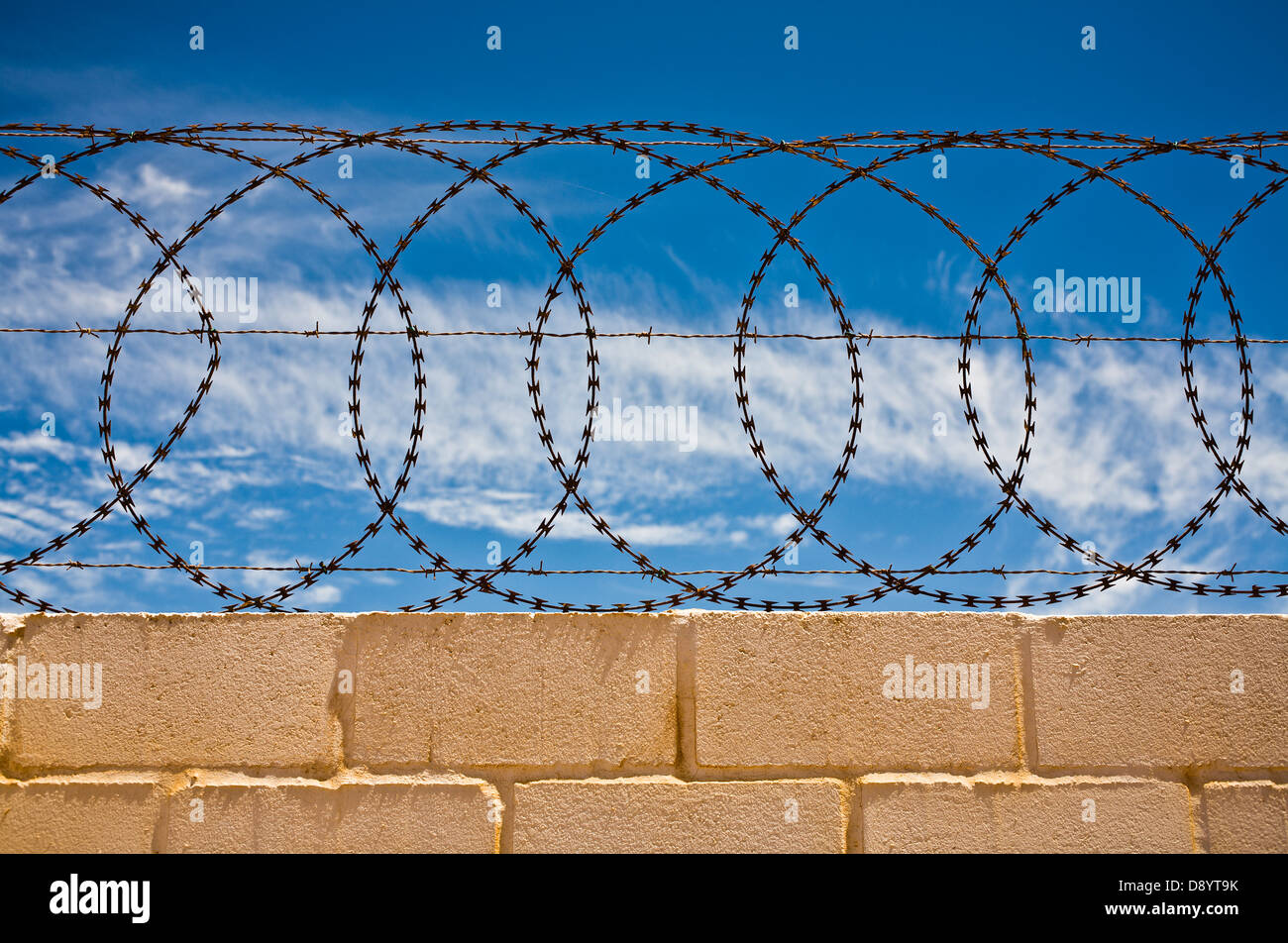 Sur un mur de barbelés, Afrique du Sud. Banque D'Images Sur un mur de barbelés, Afrique du Sud. Banque D'Images