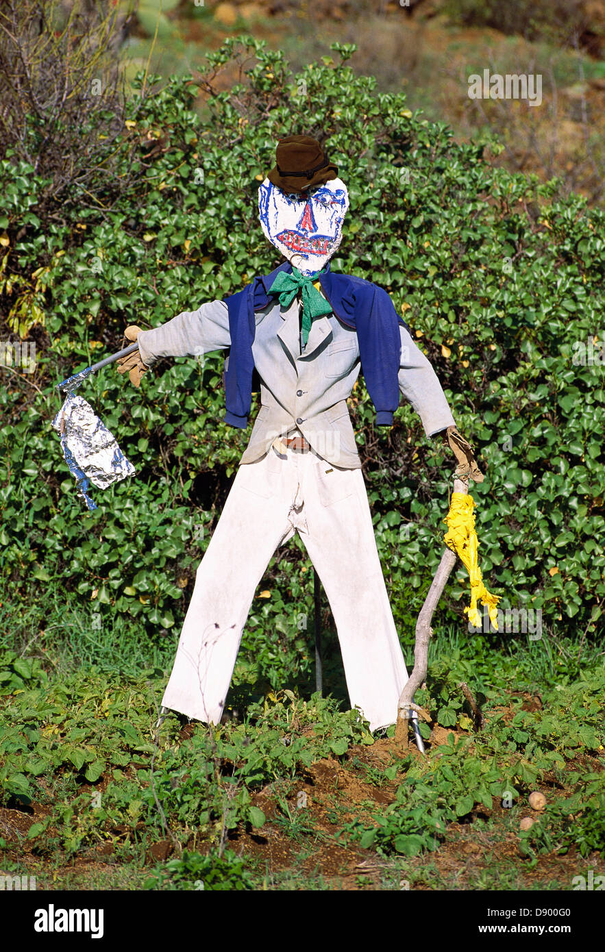 Un épouvantail dans un jardin. Banque D'Images