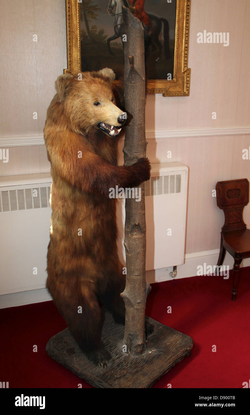 Ours en peluche avec le personnel du Warwickshire déchiquetés - symbole du comté Banque D'Images