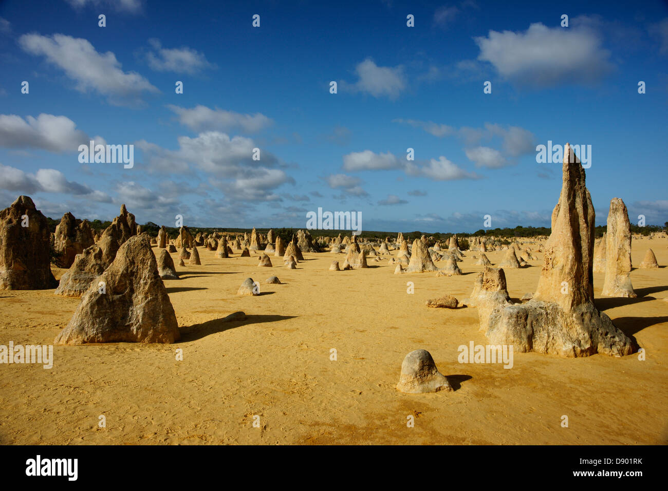 Une formation de calcaire spectaculaires sur la pittoresque Pinnacles, Australie. Banque D'Images