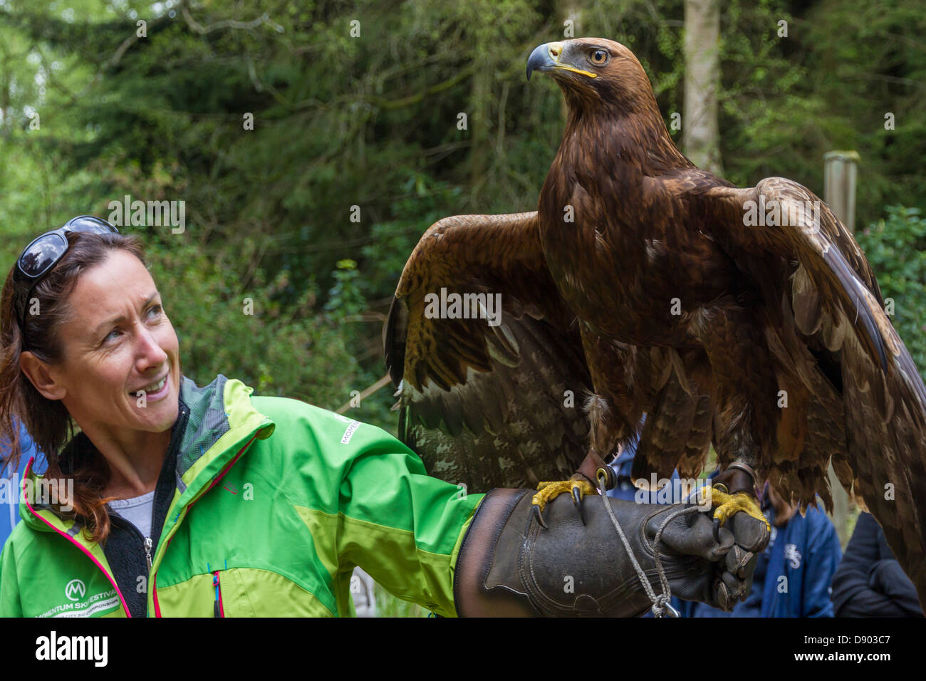 Golden Eagle & lady Banque D'Images