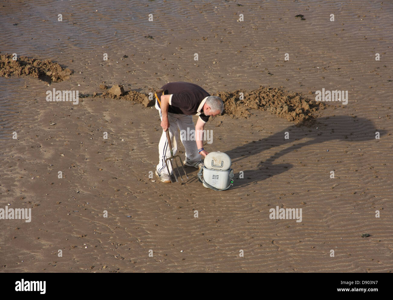 L'homme pour la recherche de vers Banque D'Images