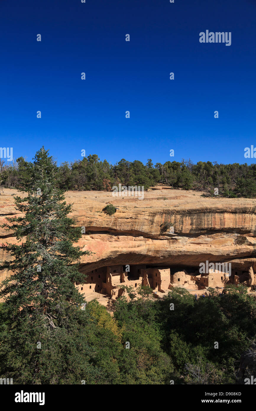 USA, Colorado, Mesa Verde National Park (patrimoine unesco), l'épinette Tree House Cliff dwellings Banque D'Images