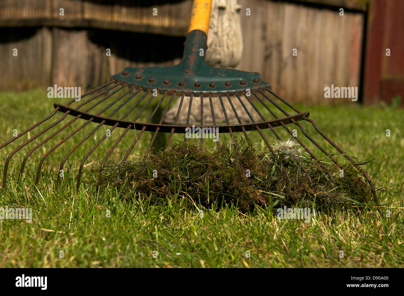 Râteau de jardin avec l'herbe à gazon sur Banque D'Images