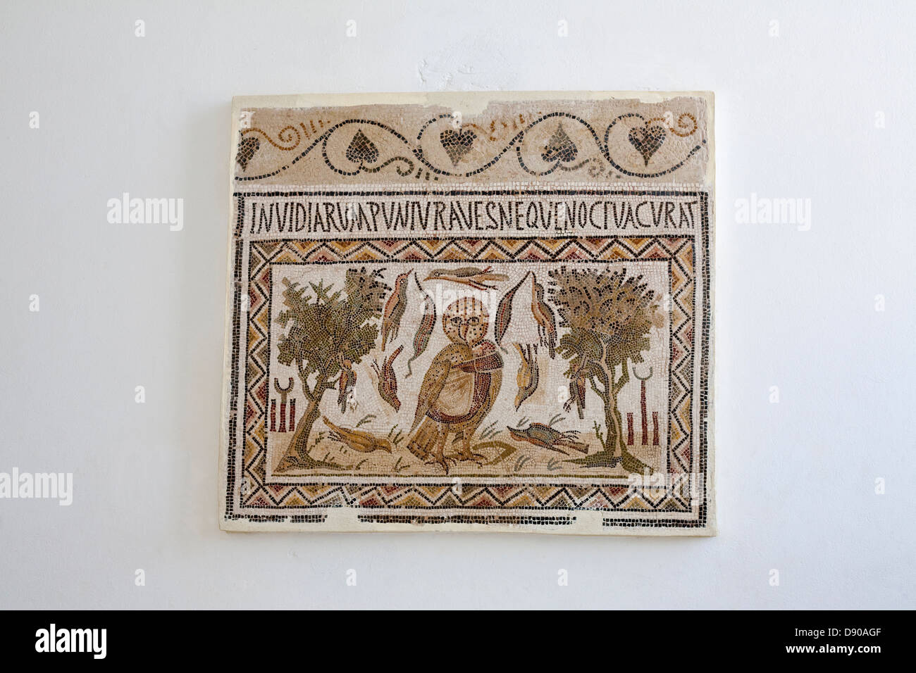 Carreaux de mosaïque romaine avec thème oiseaux suspendus dans museum en Tunisie Banque D'Images