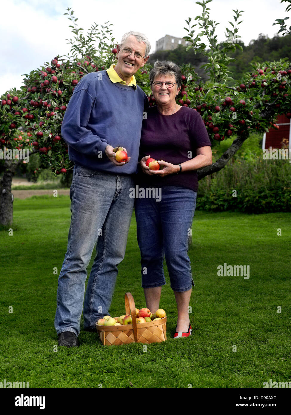 Un vieux couple scandinave dans un jardin de fruits, en Suède. Banque D'Images