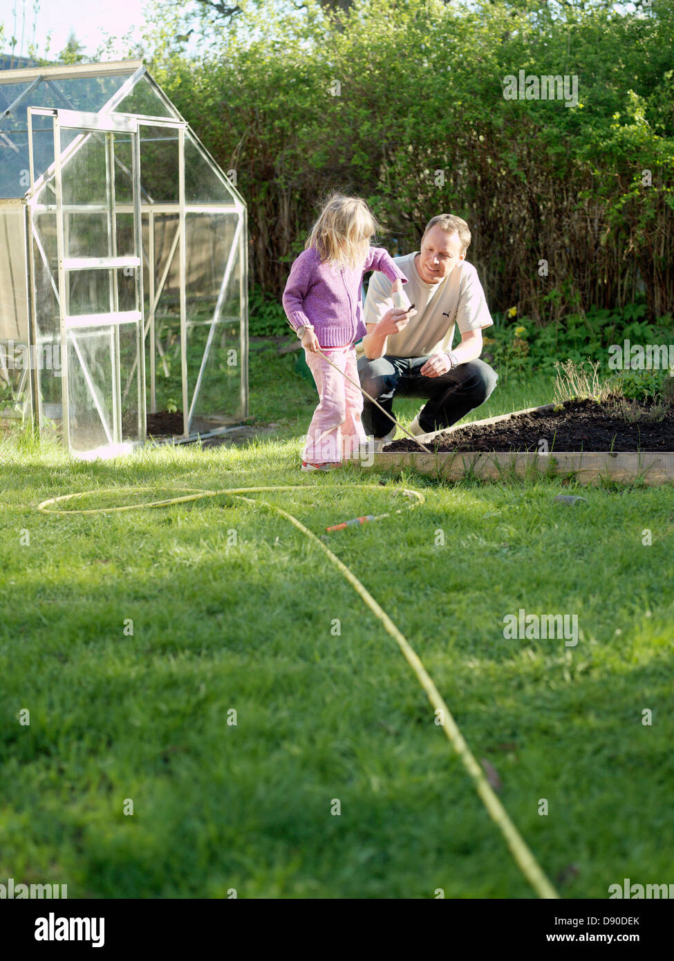 Père et fille de planter dans le jardin, en Suède. Banque D'Images