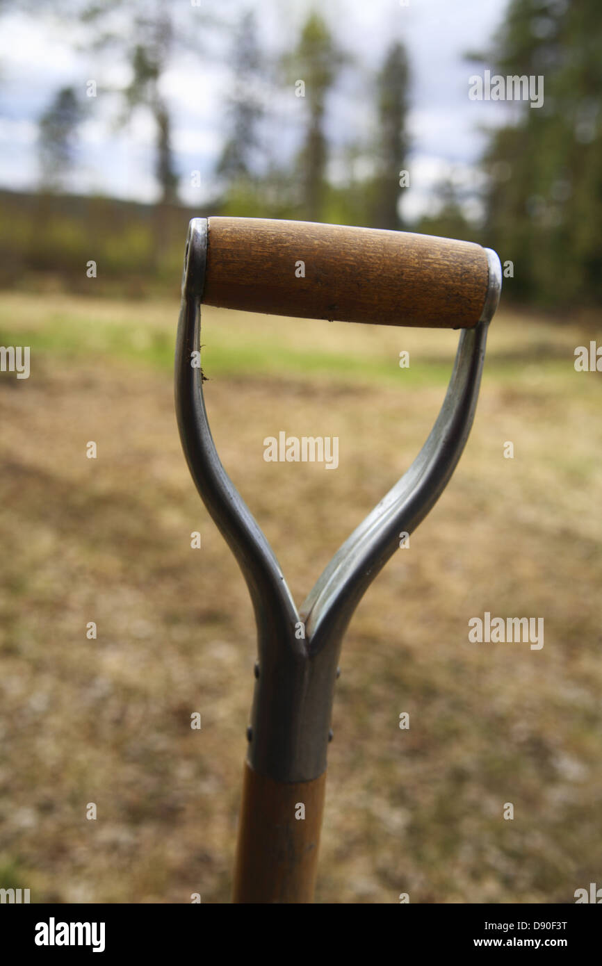 Un chat, Norrbotten, Suède. Banque D'Images