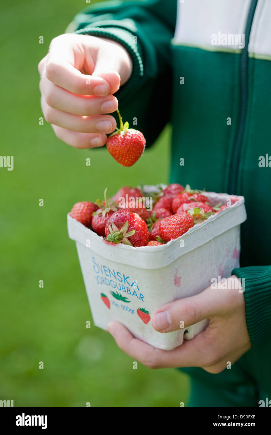 Hand holding boîte pleine de fraises Banque D'Images