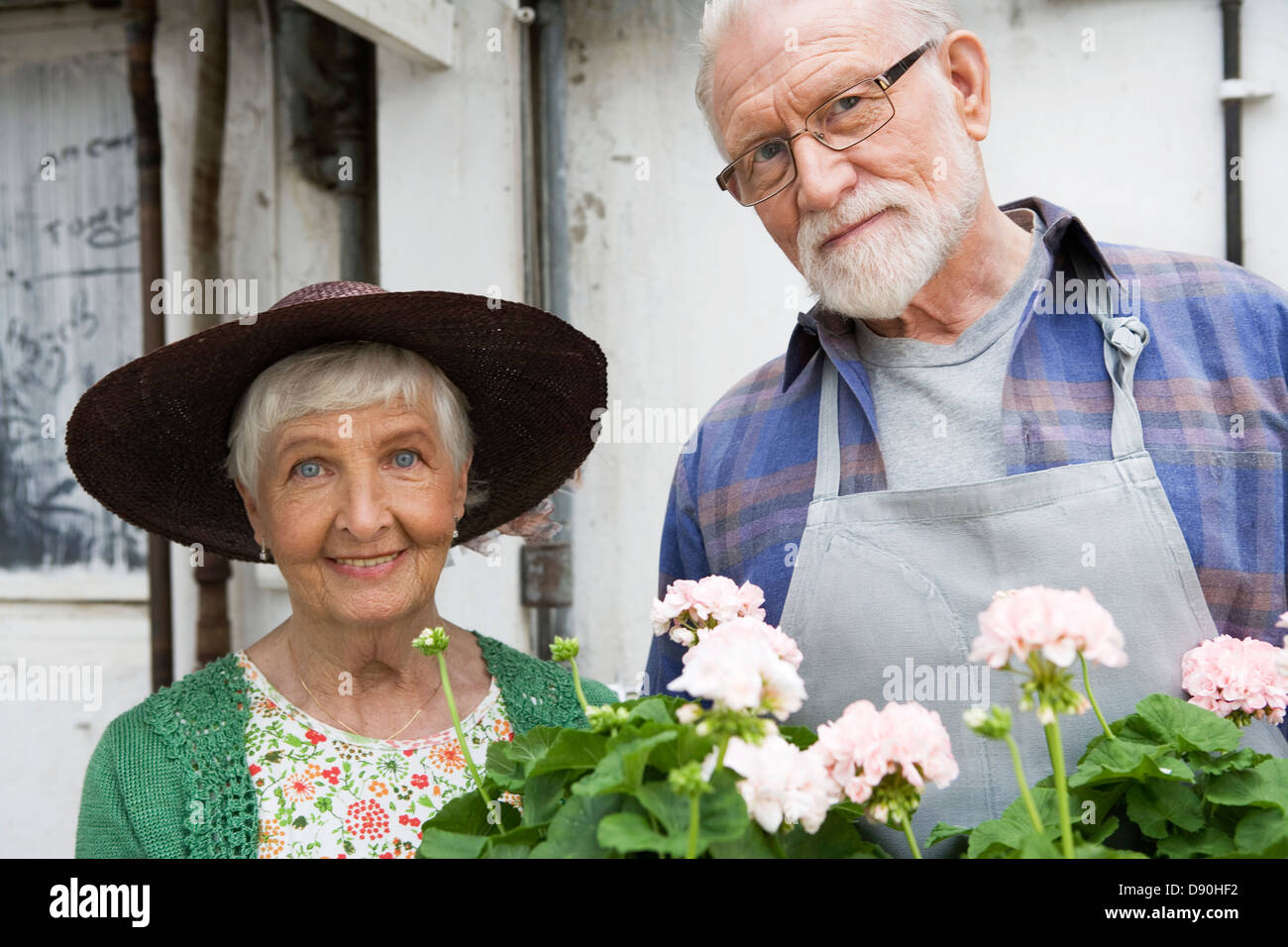 Un vieux couple scandinave tenant une flowerbox, Suède. Banque D'Images