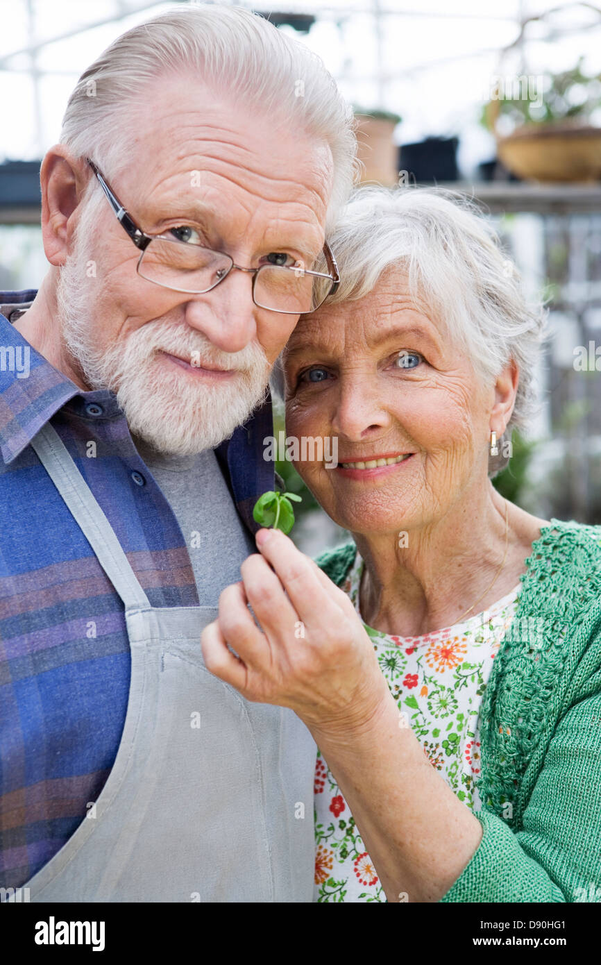 Un vieux couple scandinave avec un semis, la Suède. Banque D'Images
