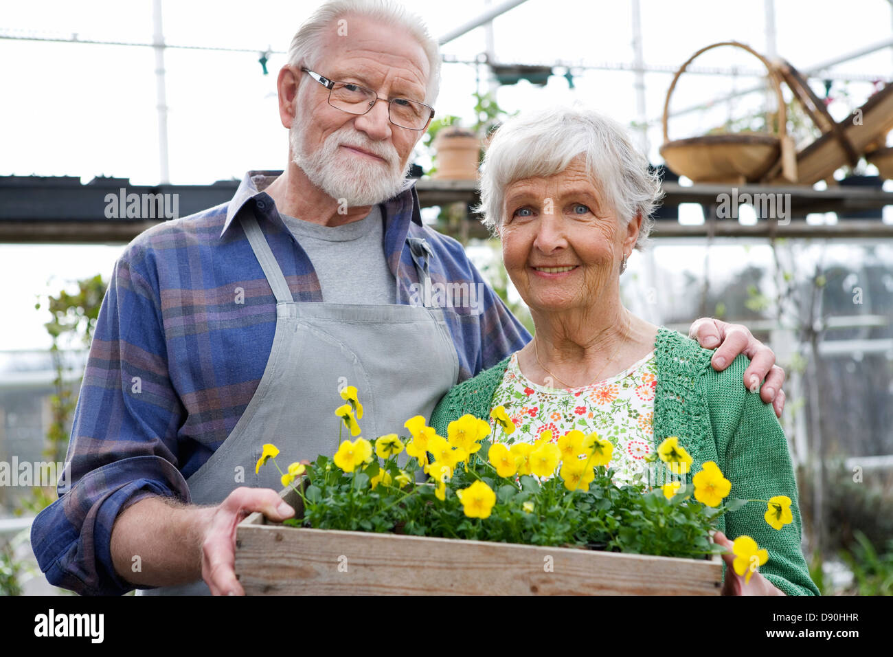 Un vieux couple scandinave dans une serre, la Suède. Banque D'Images