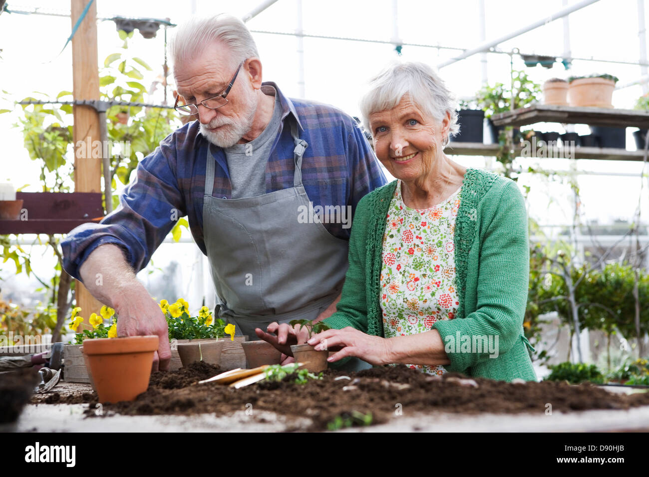 Un vieux couple scandinave planter des fleurs, la Suède. Banque D'Images