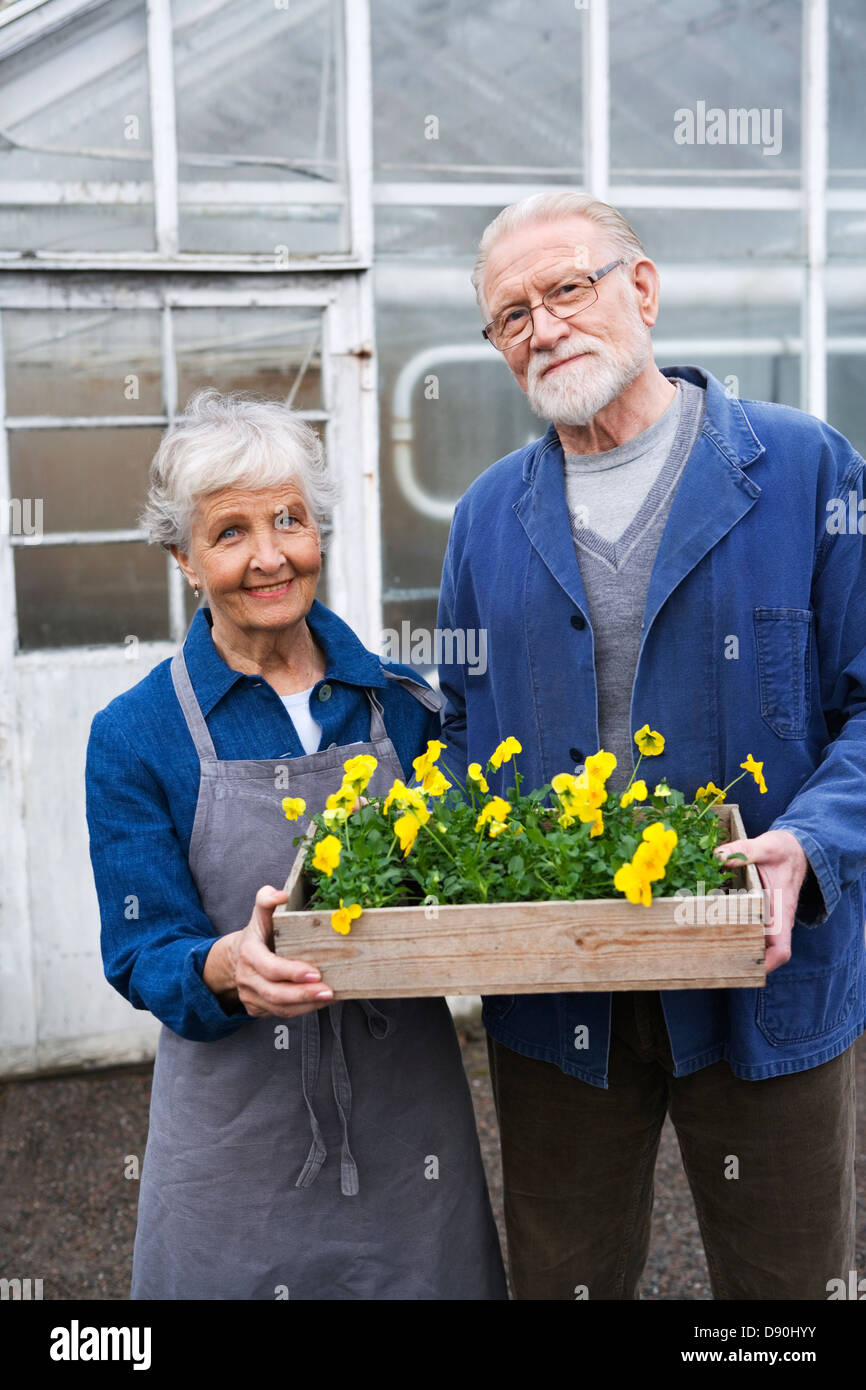 Un vieux couple tenant une flowerbox en dehors d'une serre, la Suède. Banque D'Images