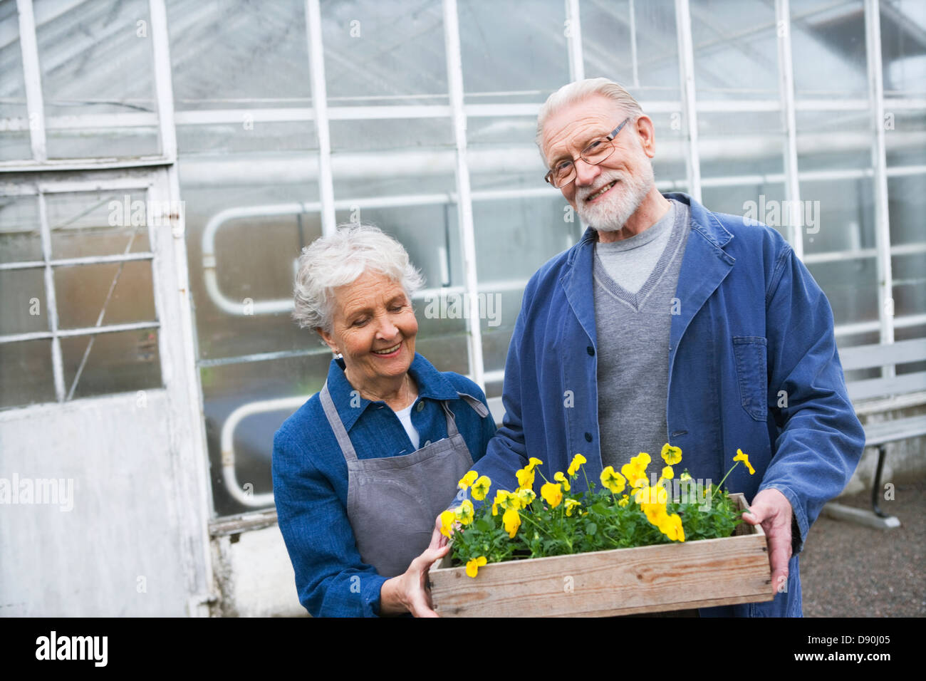 Un vieux couple tenant une flowerbox en dehors d'une serre, la Suède. Banque D'Images