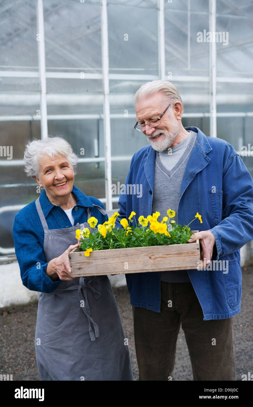 Un vieux couple tenant une flowerbox en dehors d'une serre, la Suède. Banque D'Images
