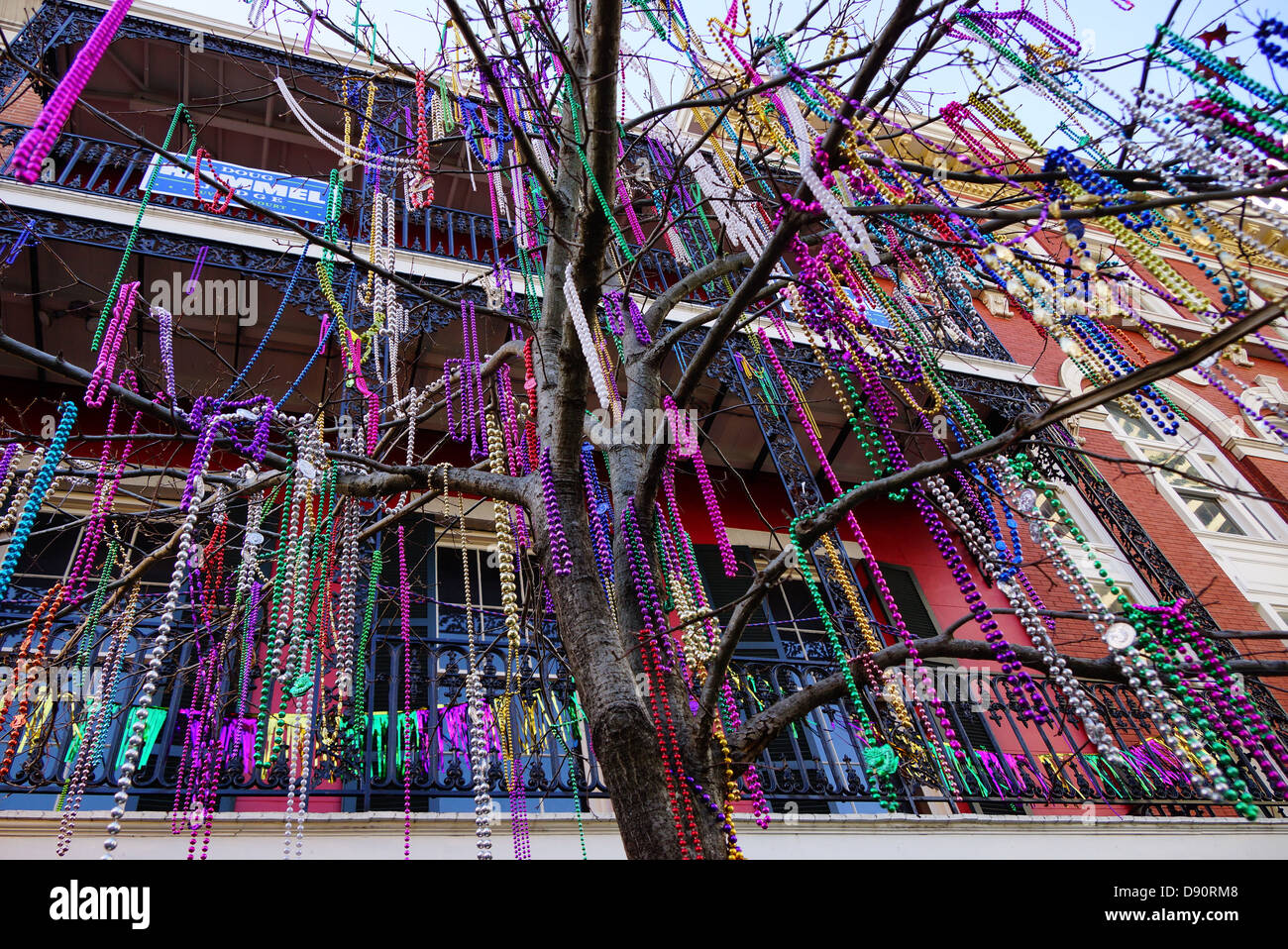 Beads accrocher sur un arbre après mardi gras à New Orleans, LA Banque D'Images