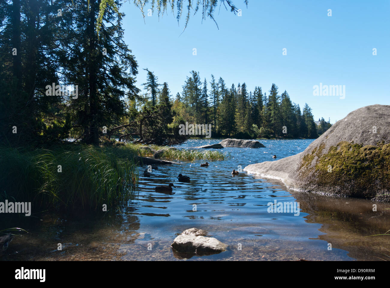 Štrbské Pleso, Slovaquie Banque D'Images