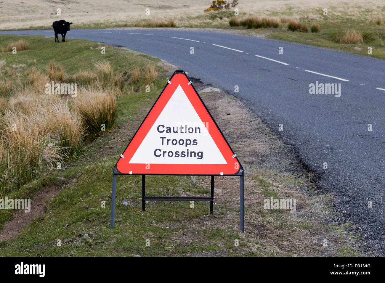Les troupes de prudence panneau de passage à niveau, sur une route dans le Dartmoor National Park avec une vache sur la route Bos primigenius Banque D'Images