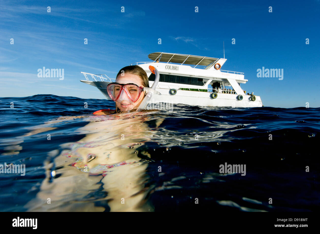 Un snorkler, Égypte. Banque D'Images