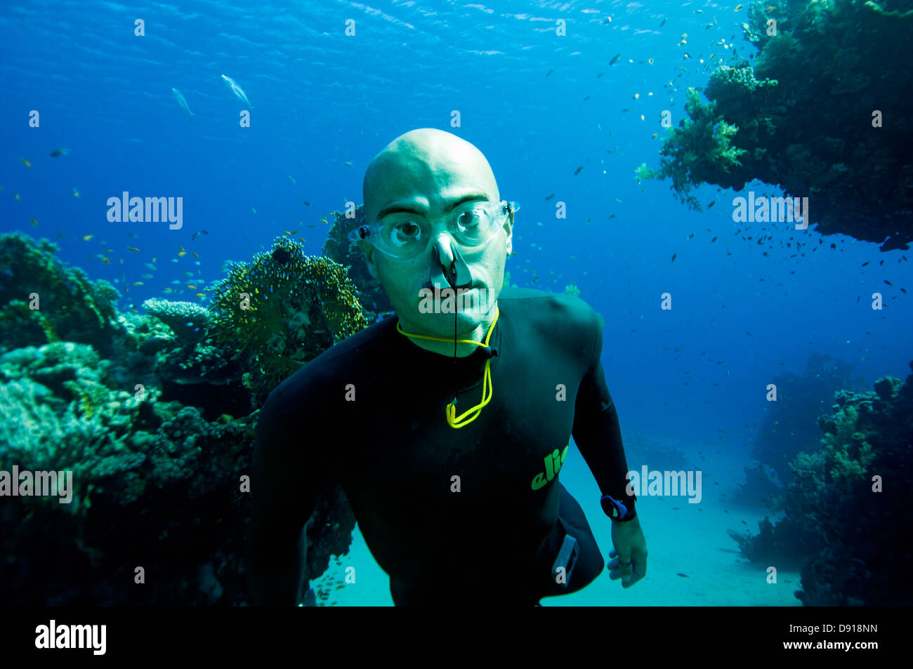 Un plongeur, Egypte. Banque D'Images