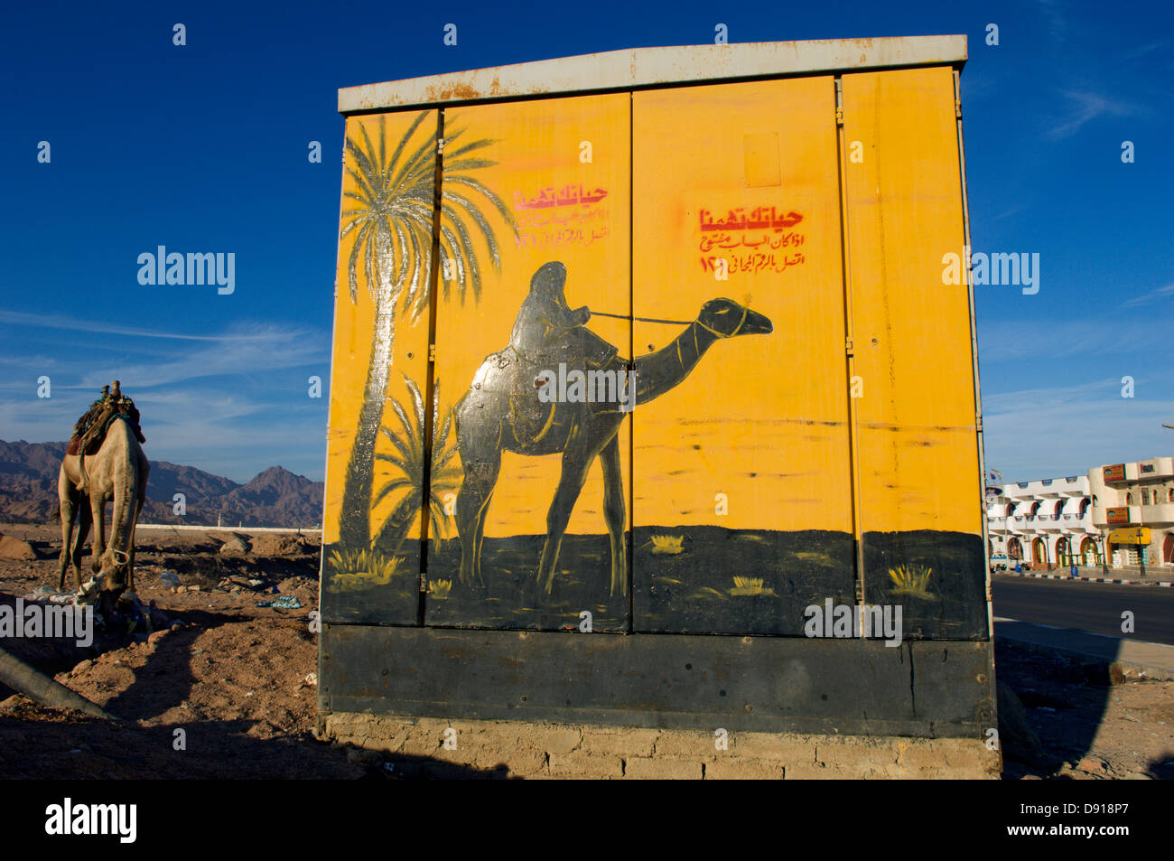 Une armoire électrique avec un chameau peint sur elle, en Égypte. Banque D'Images