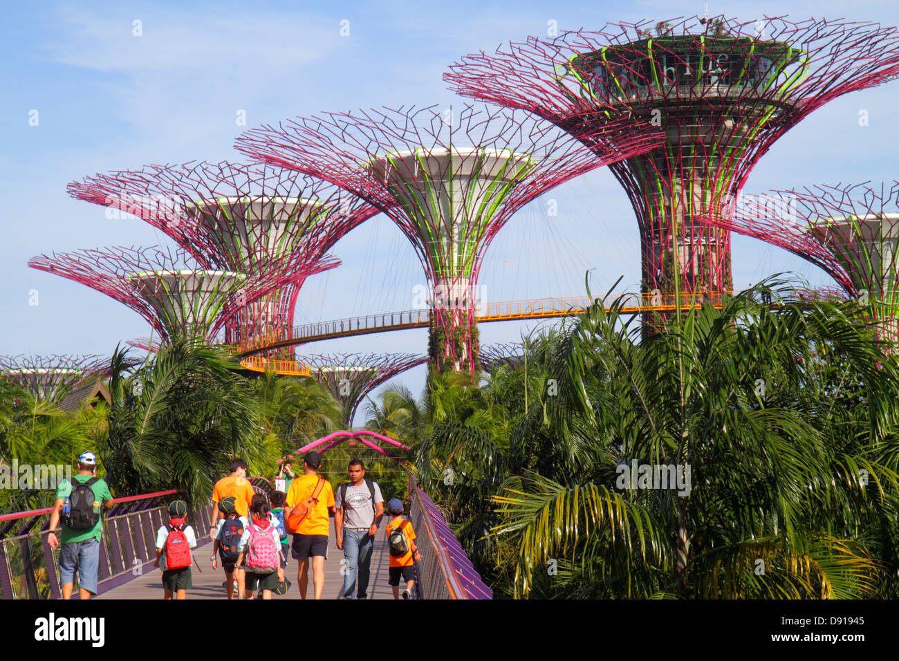 Jardins de Singapour au bord de la baie, parc, Supertrees, passerelle surélevée, Sing130202172 Banque D'Images