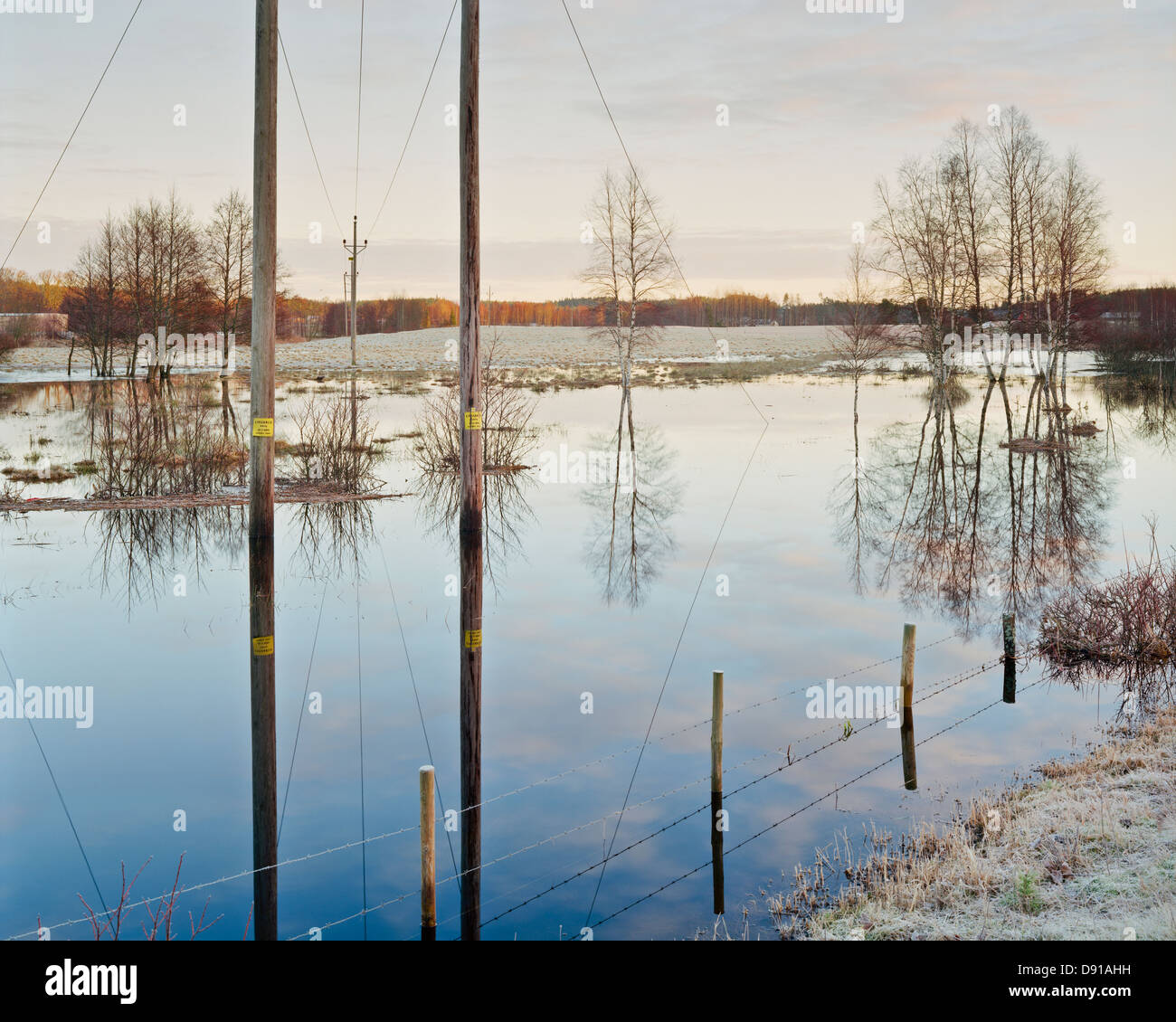 Arbres par une petite rivière, la Suède. Banque D'Images