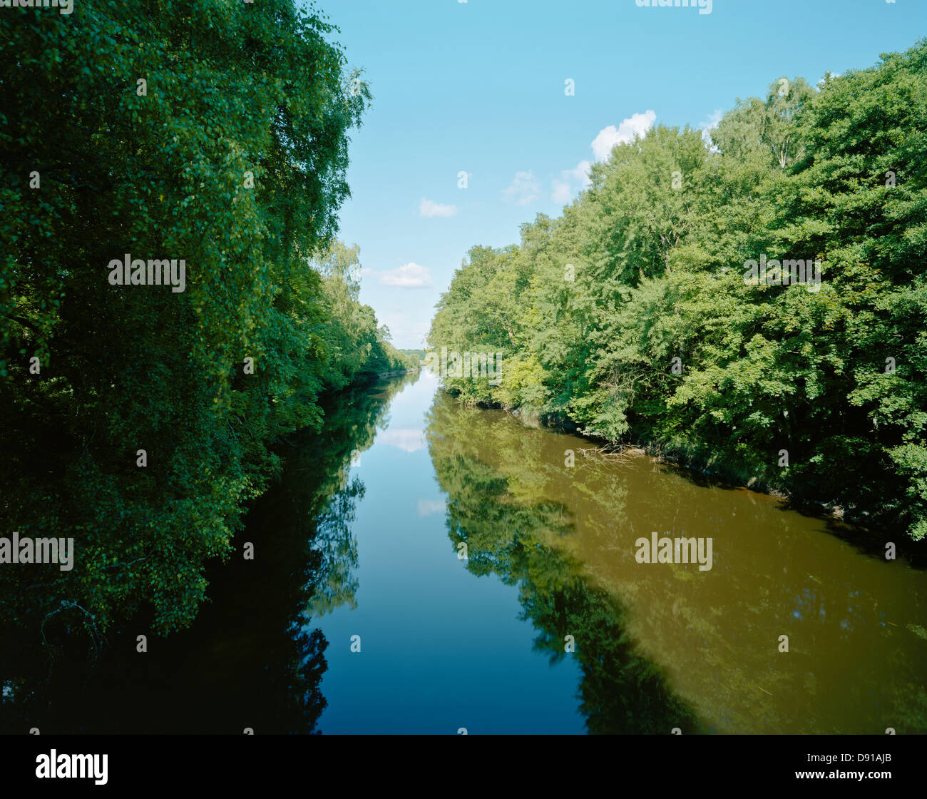 Arbres par une petite rivière, la Suède. Banque D'Images