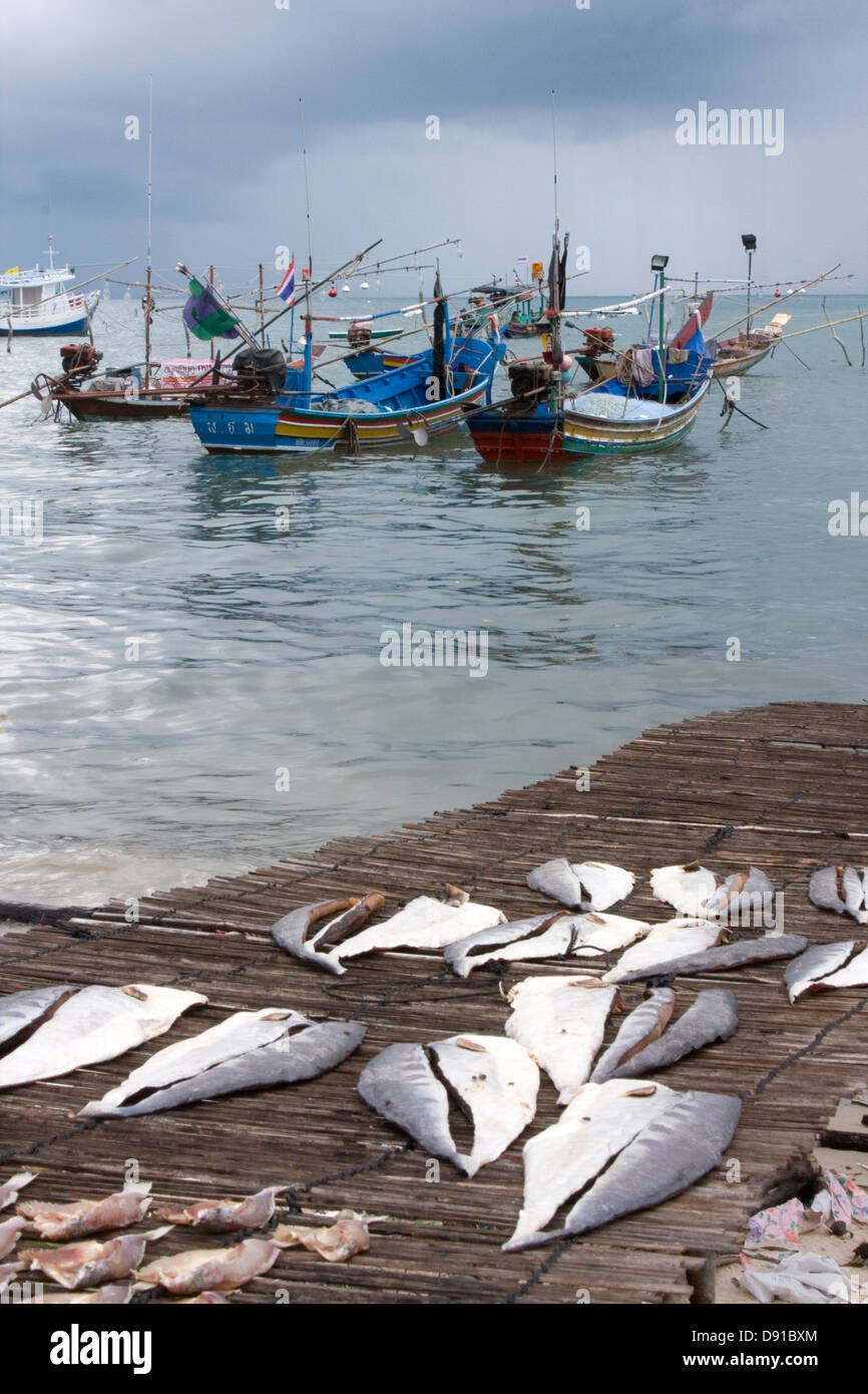 Le séchage du poisson au soleil, avec des bateaux de pêche thaïlandais dans l'arrière-plan, Koh Samui, Thaïlande Banque D'Images
