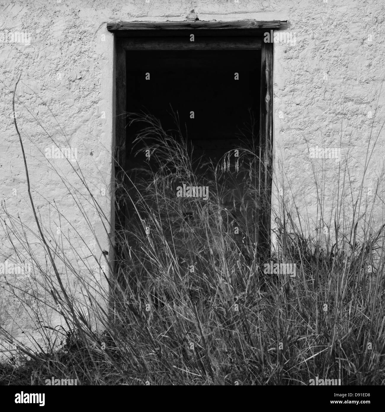 Broken porte de maison abandonnée et envahi par les plantes. Noir et blanc. Banque D'Images