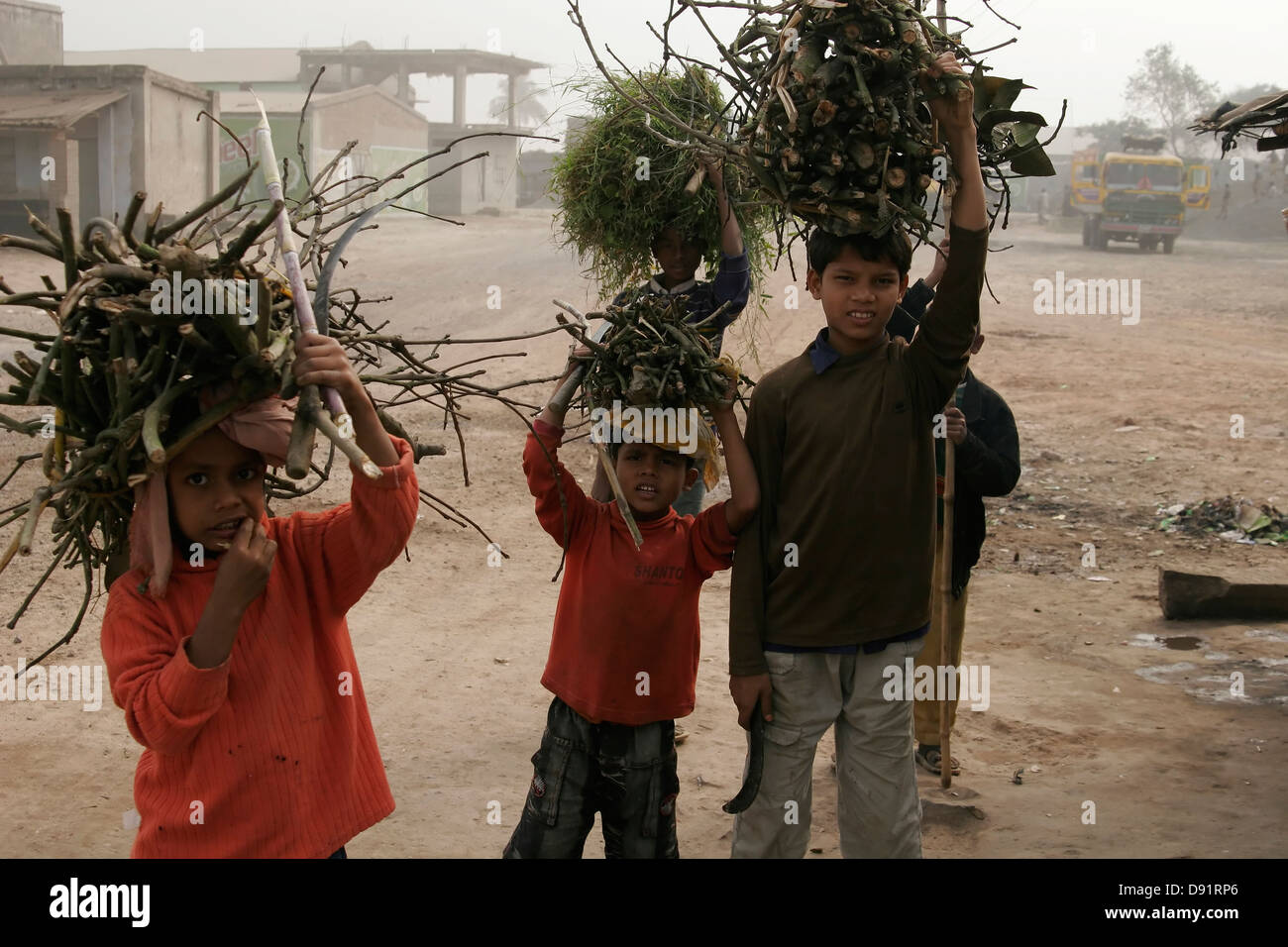 Enfants bangladais transportant l'herbe et bois de chauffage au-dessus de leurs têtes, au Bangladesh, en Asie Banque D'Images