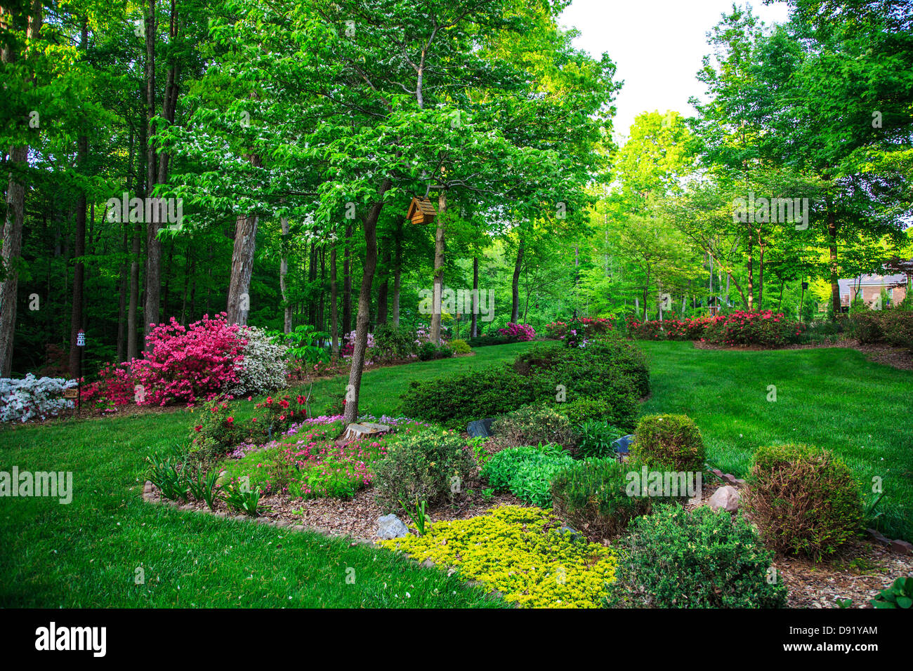 Un beau jardin bien entretenu, en Caroline du Nord. Birhouses, arbres, fleurs et arbustes. Banque D'Images