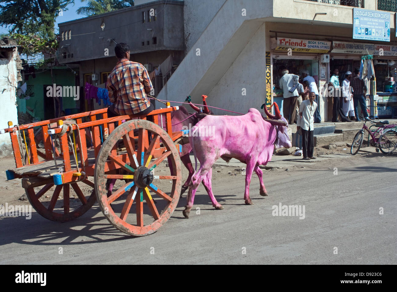 L'Asie, l'Inde, Karnataka, Aywaille, de couleur rose et pourpre tirant une charrette à vaches Banque D'Images