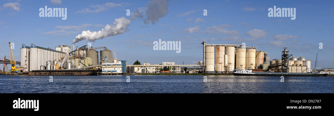 L'énergie au charbon végétal à container terminal et la rivière en premier plan, Amsterdam, Pays-Bas, Europe Banque D'Images