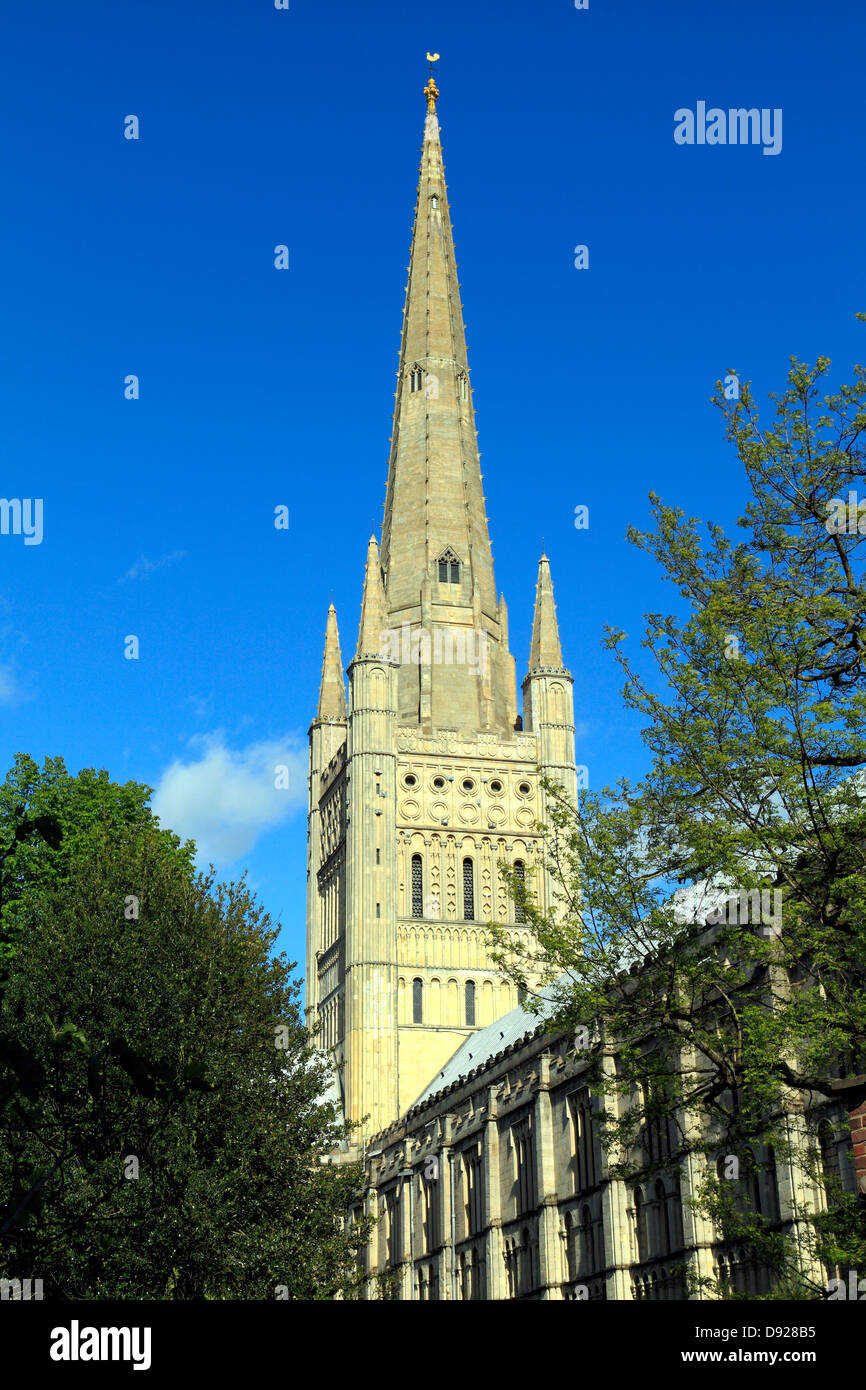 Cathédrale de Norwich Spire, Norfolk, Angleterre, Royaume-Uni Anglais les clochers des cathédrales médiévales Banque D'Images