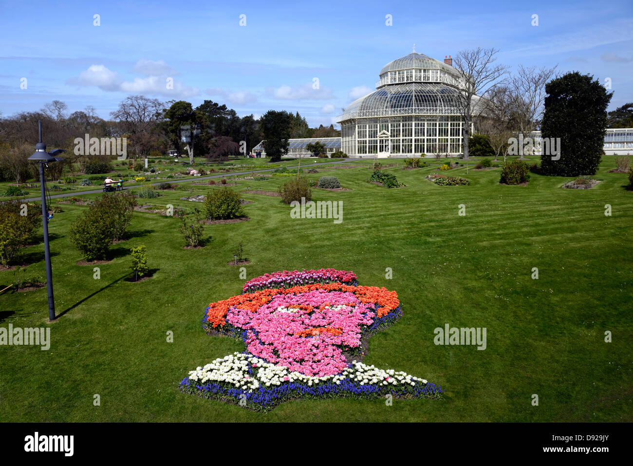Portrait de James Joyce parterre de tulipes botanic gardens Dublin Irlande glasnevin bloomsday image emblématique jardin fleurs Banque D'Images
