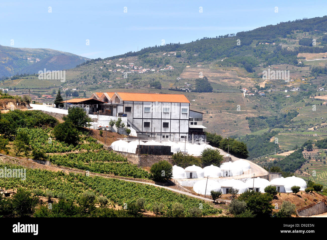 Penaçoia Coopérative Adega Portugal Douro Banque D'Images