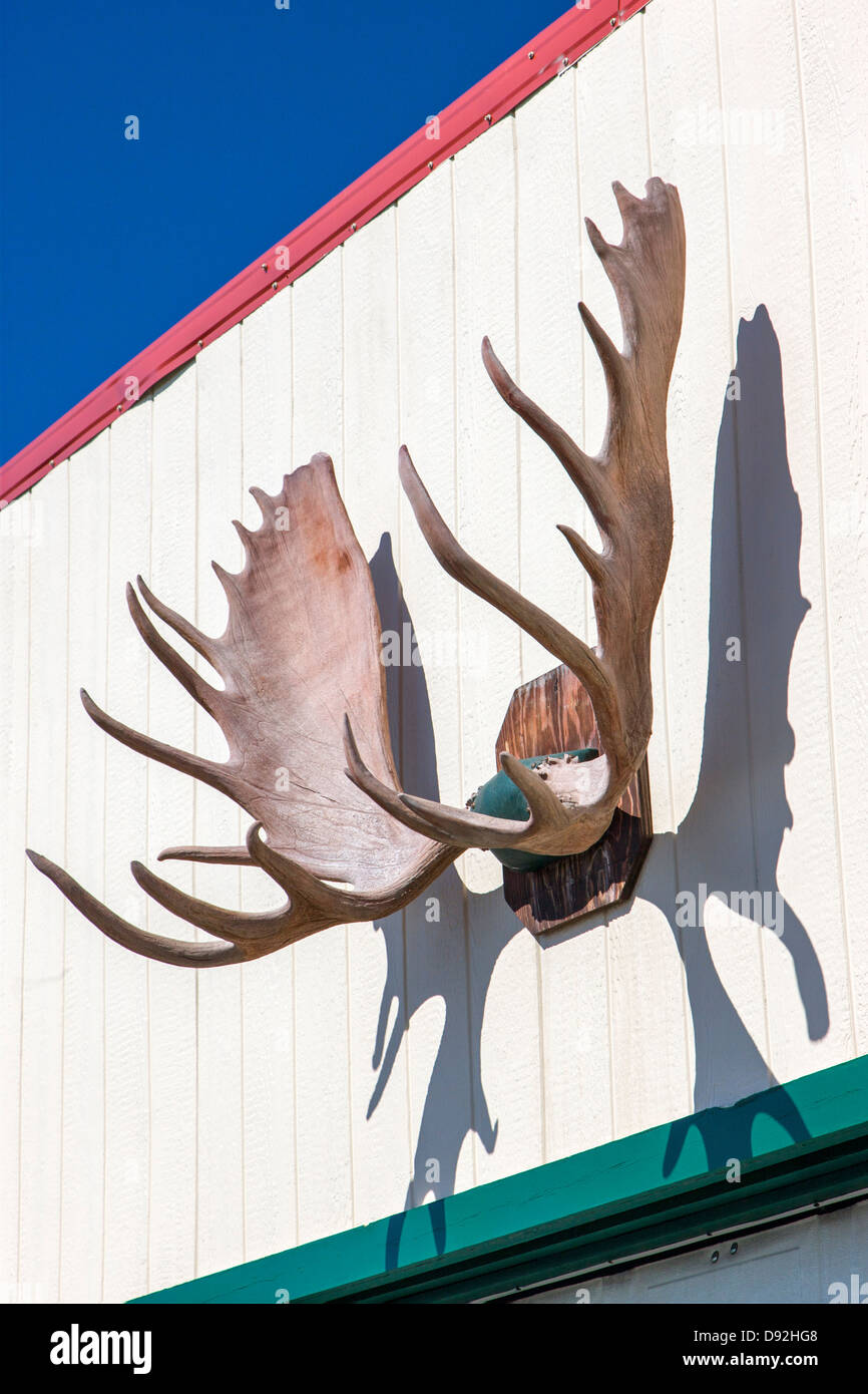 Lodge, Eureka roadhouse et restaurant. Bois de caribou ornent un bâtiment. Banque D'Images
