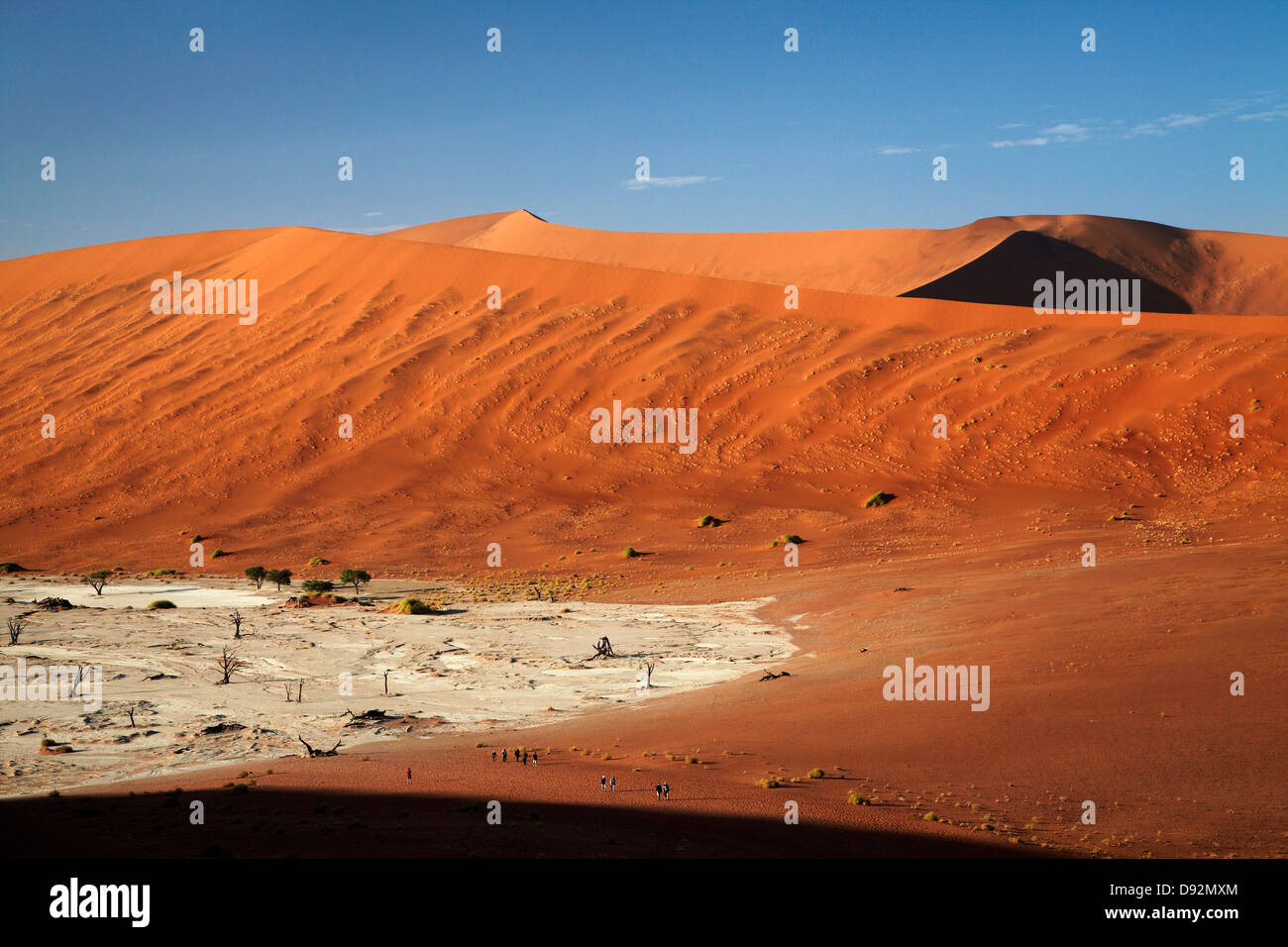 Les touristes, les arbres morts (probablement de 900 ans), et des dunes de sable à Deadvlei, Namib-Naukluft National Park, Namibie, Afrique Banque D'Images