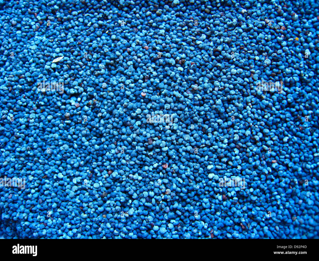 L'image de grains de pavot bleu la Banque D'Images