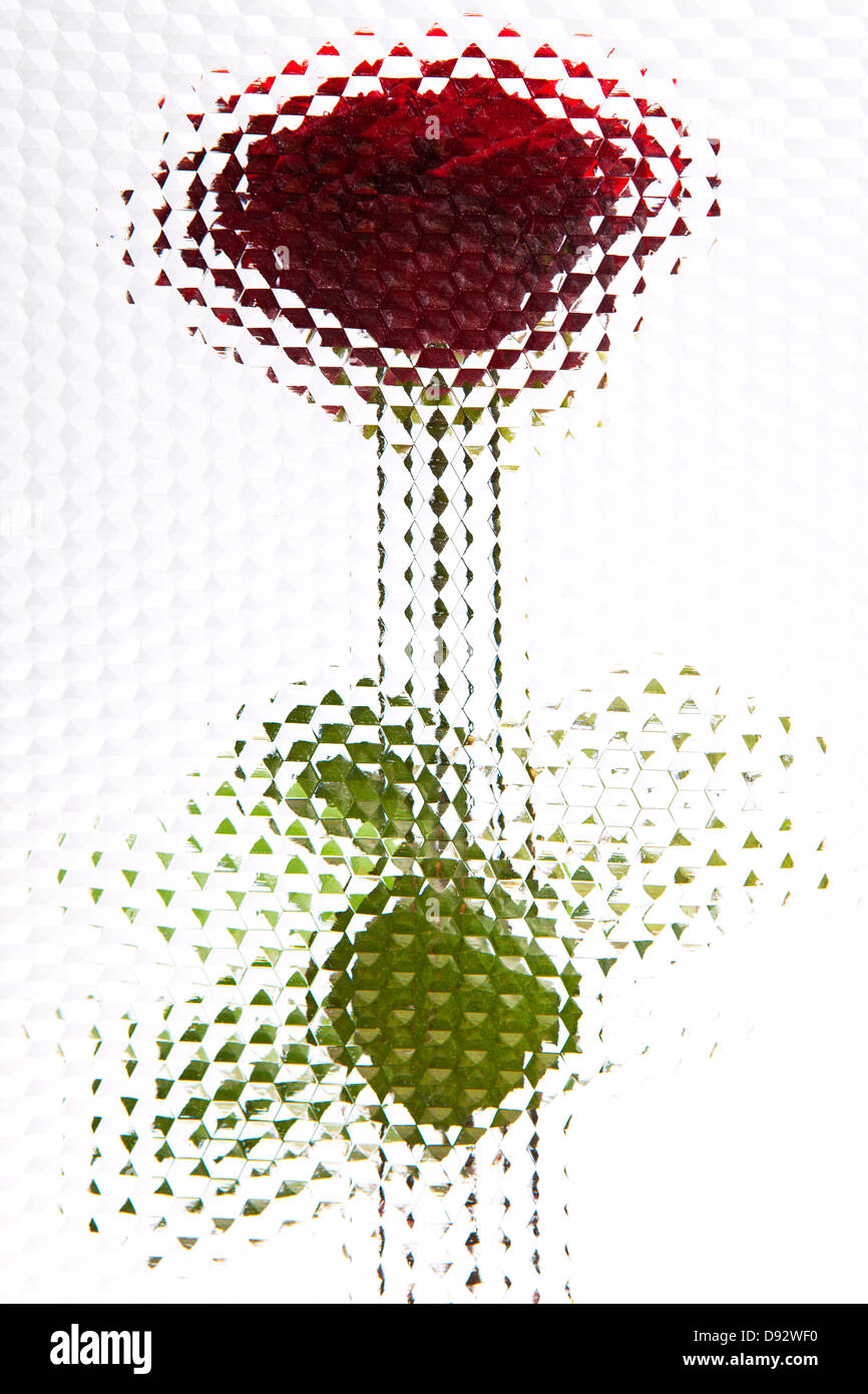 Une rose vu derrière le verre biseauté avec motif hexagonal Banque D'Images